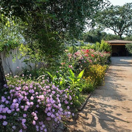 Girasole Villa Limni  Kültér fotó