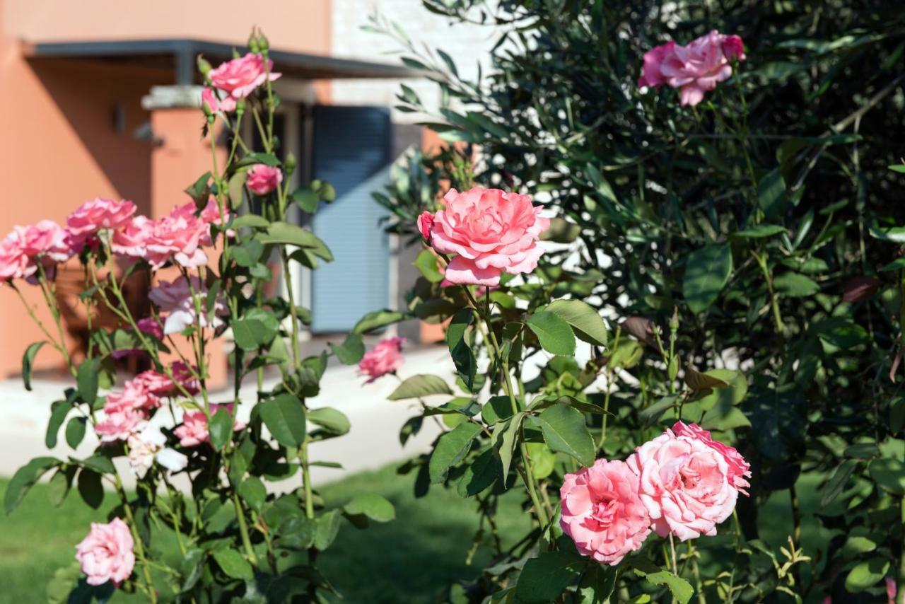 Girasole Villa Limni  Kültér fotó
